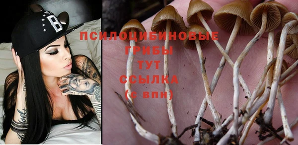 дживик Лиски
