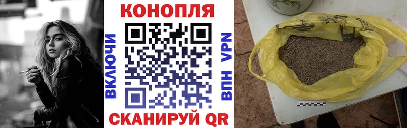 купить   Шагонар  Бошки Шишки марихуана 